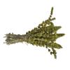 Certified Organic Greek Mountain Tea Sideritis Raeseri 85g - 1,95kg Premium Quality (1950 grams) view 2
