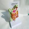 UIGJIOG Gastrointestinal model Colorectal lesion model intestinal disease Intestinal pathology model view 4