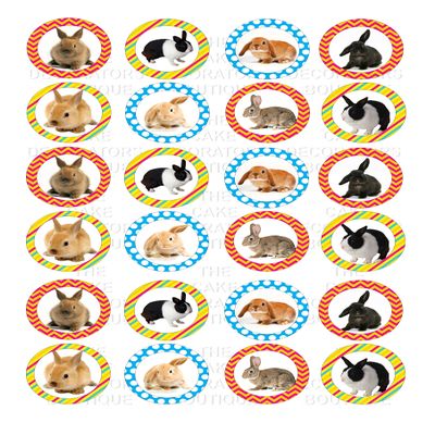 24 edible RAbbit Rabbits Bunnies kids childrens party decorations style cake decorations Iced Icing CupCake Toppers