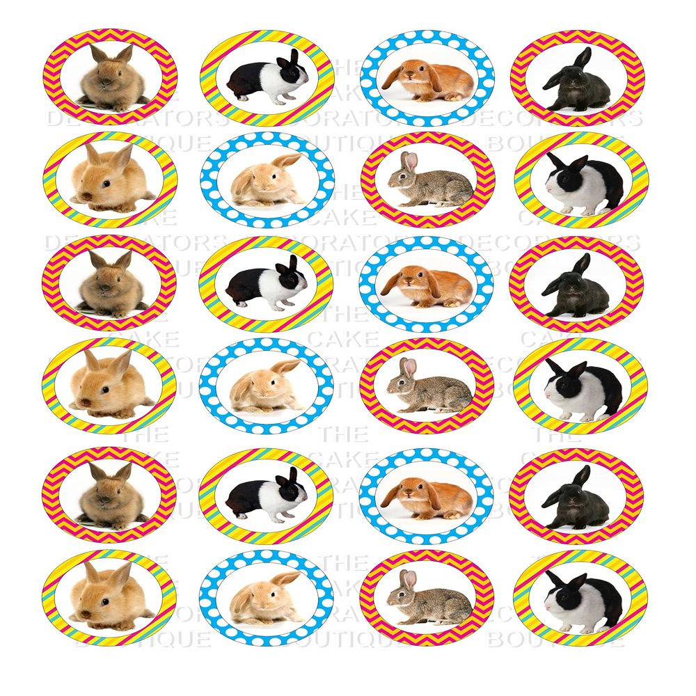 24 edible RAbbit Rabbits Bunnies kids childrens party decorations style cake decorations Iced Icing CupCake Toppers