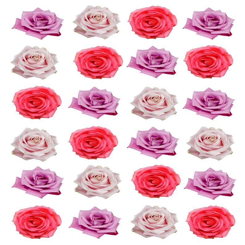 24 Pink and Red Roses Mixed Colours Single Rose Edible Rice Wafer Paper Cupcake Toppers Cake Decorations Flowers
