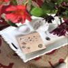 20-ct 13x13 Eco friendly Soft Recycled Napkins Printed Lunch napkins Biodegradable Napkins Dinner Party Napkins Paper Disposable Natural Tan Ambiente Napkins Compostable Napkins Dandelion Blow Away view 4