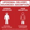 Liposomal CoQ10 Ubiquinol 600mg, 60 Mini Softgels, High Strength Active Coenzyme Q10, Enhanced Absorption, Premium Quality Formula, 60 Count (Pack of 2) view 3