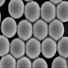 Alpha Nanotech Colloidal Silica Nanoparticles (Available from 20 nm to 1000 nm) (10 ml at 10 mg/ml, 1 um, Hydroxyl-Terminated) view 1