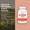 Bandini CoQ10 200mg | 60 Vegan Capsules of High-Strength Co Enzyme Q10 (2-Month Supply) | Naturally Fermented & Lab Tested Ubiquinone Q 10 | High Absorption Coenzyme Coq 10 Supplement 100% Pure view 4