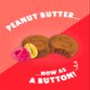 SUPERFOODIO Peanut Butter Buttons | PB&J Flavour | Vegan & Low Carb | All-Natural | Protein | No Refined Sugar (20g x15 Packs) view 3