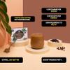 Merryhill Mushrooms Adaptogenic Mushroom Coffee | Lion's Mane, Cordyceps & Ashwagandha | 10 Sachets | Sleep, Focus, Energy | 500mg of Lions Mane, 500mg Cordyceps and 300mg Ashwagandha per Sachet view 2