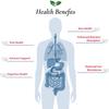 Foods For Gut Lactobacillus Johnsonii Probiotic Powder 100 Billion cfu's | No Additives | Digestive & Immune Support | High Potency | L. Johnsonii | 60 Grams (2.11 Oz) view 4