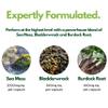 Nutripact Sea Moss Capsules, Bladderwrack and Burdock Root - 3280mg per Serving - One a Day High Strength - Easy to Swallow - Natural Source of Iodine - Chondrus Crispus - 60 Vegan Capsules view 2
