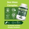 Nutripact Sea Moss Capsules, Bladderwrack and Burdock Root - 3280mg per Serving - One a Day High Strength - Easy to Swallow - Natural Source of Iodine - Chondrus Crispus - 60 Vegan Capsules view 3