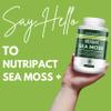 Nutripact Sea Moss Capsules, Bladderwrack and Burdock Root - 3280mg per Serving - One a Day High Strength - Easy to Swallow - Natural Source of Iodine - Chondrus Crispus - 60 Vegan Capsules view 4