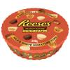 Reese's Milk Chocolate and Peanut Butter Cups Minis selection tin, 345g view 1