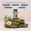 Focus & Clarity - 60 Capsules - for Mental Clarity, Concentration and Calm Energy  with Plant Sources of antioxidants - for overactive Minds - Vegan Lion's Mane Capsules for Focus & Clarity view 3