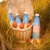 Liquid Egg Whites by Training Fuels 970ml x 6 Bottles Free Range view 4