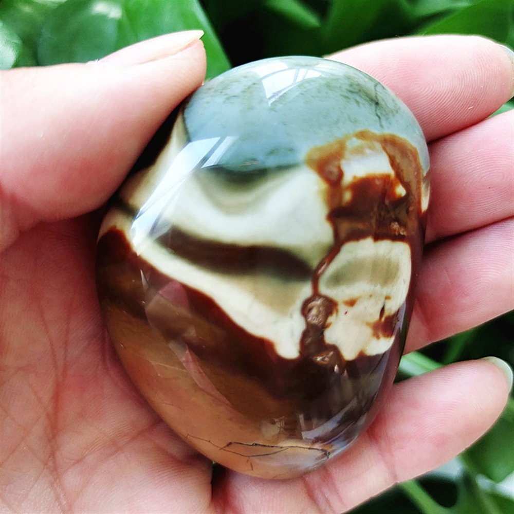 Kigauru Natural crystal rough Natural stone Marine palm healing crystals Decorative collection stones and crystals (Color : AAA98 83g)