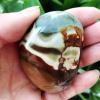Kigauru Natural crystal rough Natural stone Marine palm healing crystals Decorative collection stones and crystals (Color : AAA98 83g) view 1