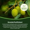 Hepatica Graviola Fruit Extract 2500mg Equivalent (500mg of 5:1 Extract) 90 Vegan Capsules, 3rd Party lab Tested, High Strength Supplement, Gluten and GMO Free view 4