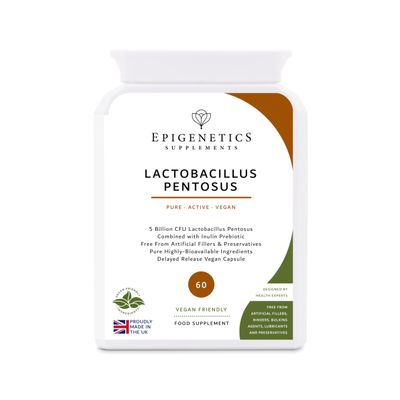 Lactobacillus Pentosus | 5 Billion CFU Probiotic + Chicory Root Prebiotic (Inulin) | 60 Vegan Delayed Release Capsules UK Made | 2 Month Supply
