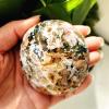 Kigauru Natural crystal rough Natural stonebeautiful Marine jasper palm healing crystals Decorative collection stones and crystals (Color : A10 145g) view 4