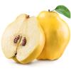 Quince x 10 pack view 1