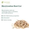 Mimea Marshmallow Root Cut | 1kg | Quality Ingredients | Herbal Remedy | Natural | No Additives | Tea Infusion view 2