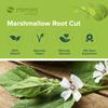 Mimea Marshmallow Root Cut | 1kg | Quality Ingredients | Herbal Remedy | Natural | No Additives | Tea Infusion view 4