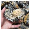 Kigauru Natural crystal rough 300/500/1000g Yellow Tourmaline Symbiotic With Black Quartz Rough Natural Crystal Stone Mineral Healing (Size : 1000g) view 3