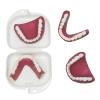 Human Teeth Model - Denture Model for The Elderly - Denture Removal Wear Demonstration Denture Brush Cleaning Kit view 1
