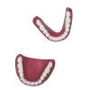 Human Teeth Model - Denture Model for The Elderly - Denture Removal Wear Demonstration Denture Brush Cleaning Kit view 3