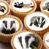 24 edible Badgers Badger British Wildlife kids childrens party decorations Iced/Icing Cupcake Topper Edible Fairy Cake Bun Toppers Round view 1
