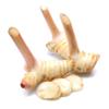 Fresh Galangal 200gr x 2 pack view 1