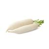 Fresh Mooli (White Radish) 2100gr view 1