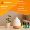 Aroma Energy | Fennel Essential Oil - 20ml (2 x 10ml Bottles) - 100% Pure & Natural view 3
