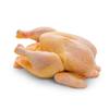 Halal Whole Corn Fed Chicken 1.5kg -/+10% x 1 Pack  Premium Fresh Corn Fed Poultry for Roasting & Grilling  Tender, Juicy & Flavourful view 1