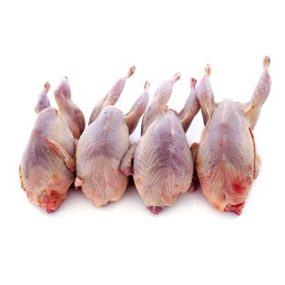 Halal Whole Quail 8 Units (4 Units x 2 Packs, ~600g Each 10%) | Freshly Frozen | Tender & Juicy Game Bird | Ideal for Roasting, Grilling & Gourmet Dishes