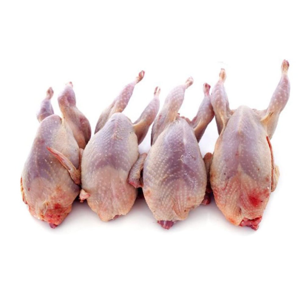 Halal Whole Quail 8 Units (4 Units x 2 Packs, ~600g Each 10%) | Freshly Frozen | Tender & Juicy Game Bird | Ideal for Roasting, Grilling & Gourmet Dishes