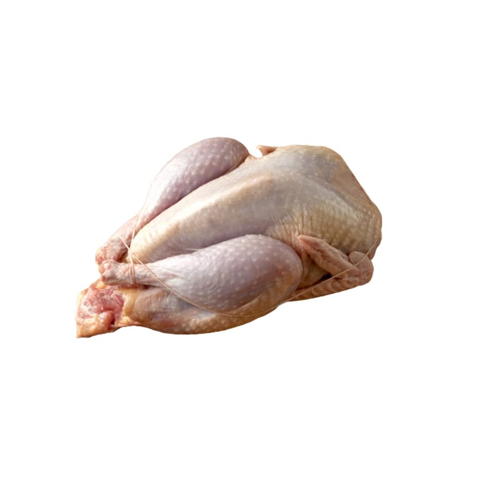 Halal Freshly Frozen Whole Pheasant | 2 Units (~1000g 10%) | Premium Game Bird | Tender & Juicy | Ideal for Gourmet Roasts, Grilling & Special Dinners