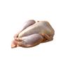 Halal Freshly Frozen Whole Pheasant | 2 Units (~1000g 10%) | Premium Game Bird | Tender & Juicy | Ideal for Gourmet Roasts, Grilling & Special Dinners view 1