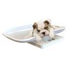 High Precision Scale Practical Digital Weight Scale 10KG 1g Durable Multifunction Handheld Portable Weight Measure Tool Pet Scale for Dog Cat Baby view 2