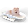 High Precision Scale Practical Digital Weight Scale 10KG 1g Durable Multifunction Handheld Portable Weight Measure Tool Pet Scale for Dog Cat Baby view 3