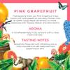 Double Dutch Pink Grapefruit Soda | Low Calorie Diet Soft Drink | 100% Natural Ingredients | Gluten Free, Vegan Friendly Premium Mixer Perfect For Gin, Vodka & Cocktails | 24 x 200ml Bottles view 3