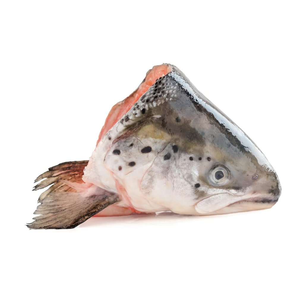 Fresh Salmon Heads x 10 Units | Premium Quality Fish Heads for Soups, Broths & Curry Dishes | Ideal for Restaurants & Home Cooking