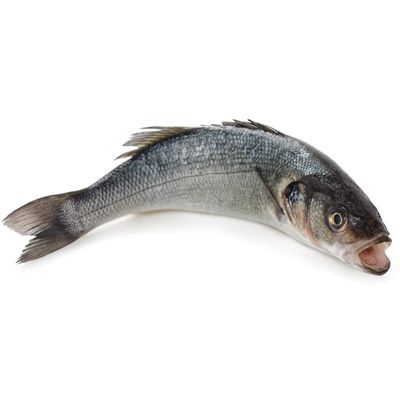 Fresh Whole Seabass Fish 1kg (10%)  Premium Wild-Caught Mediterranean Seabass, Delicate Flavour & Firm Texture, Ideal for Grilling, Baking & Healthy Meals