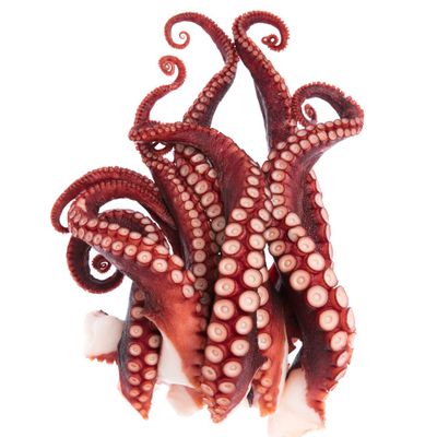 Fresh Octopus Tentacles 1kg (10%)  Premium Wild-Caught Octopus, Tender & Meaty, Ideal for Grilling, Boiling & Mediterranean Dishes