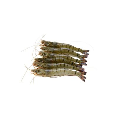 Aquahawk Frozen Raw Head- Shell on Black Tiger Prawns 1kg