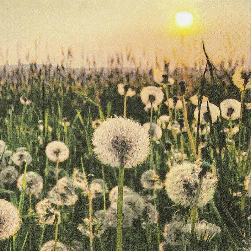 20 napkins meadow full of dandelion, flowers, flower meadow, crafting, neutral, timeless, table decoration, decoupage, napkin technology, 33 x 33 cm