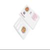 Starter Cultures for Homemade Preparation of L.Salivarius and L.Reuteri Yogurt (Pack of 3 sachets) view 3