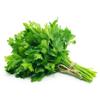 Fresh Parsley 1 Bunch x 20 Pack  Premium Aromatic Herb  Perfect for Cooking, Garnishing & Salads  Farm Fresh Quality and Naturally Grown view 1