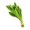 Thai Parsley 2 kg -/+10% view 1