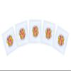 Yogurt Starter Cultures for Homemade Preparation of L.Salivarius and L.Reuteri Yogurt (Pack of 5 sachets) view 1